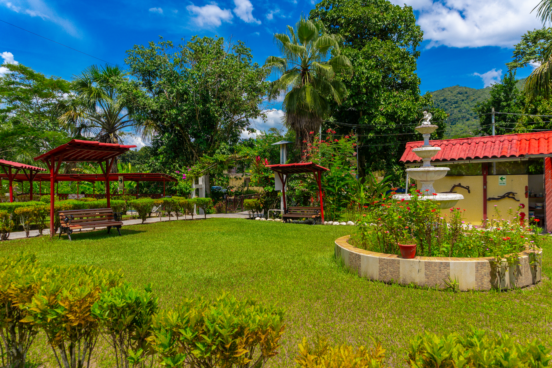Piscinas, jardines y áreas de descanso de Villa Jennifer, fotografía 6